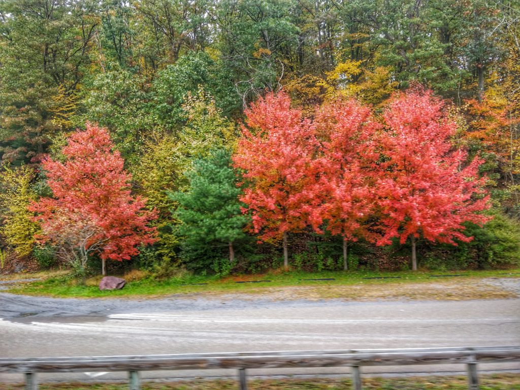 Beautiful Fall Foliage Jim Thorpe PA