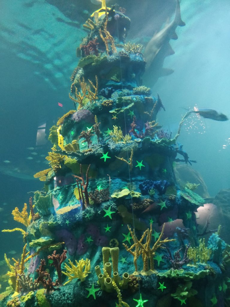Underwater Christmas Tree