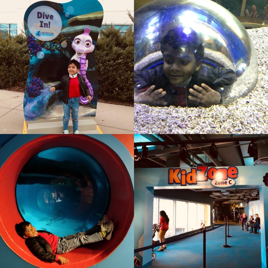 Kid zone Adventure Aquarium